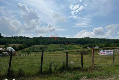 Teren de 3750 mp, în Tomești - 3