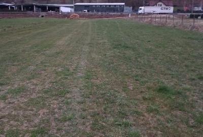 Teren Construcții intravilan de 25 mp, în Șieu-Măgheruș - 1