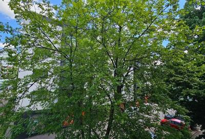 Apartament cu 3 camere semidecomandat în Cornișa - 7