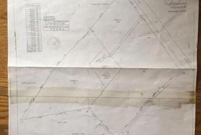 Teren de 53000 mp, în Călinești - 5