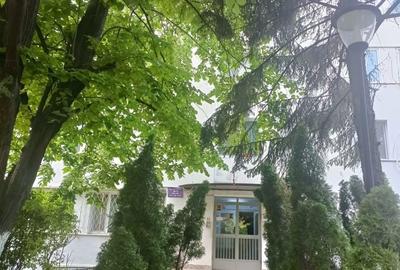 Apartament cu 2 camere decomandat în Tei - 7