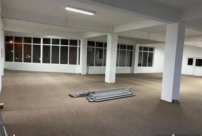 Resita,Spatii Open Space, 160 mp. 230 mp.300 mp. Central Govandari - 5