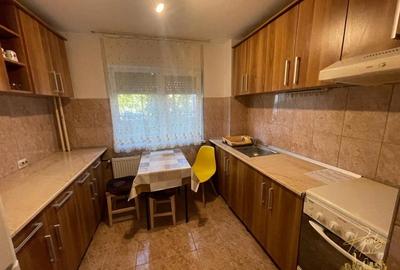 Apartament cu 3 camere de inchiriat str. Penes Curcanu - Nufarul - 6