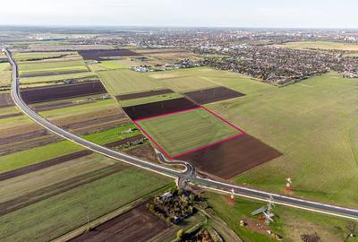 Teren agricol extravilan de 45080 mp, în Sânnicolau Mic - 2