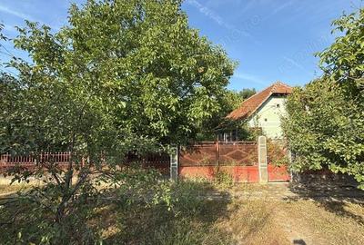Teren cu casa batraneasca de vanzare Taut, Arad - 3
