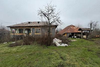 Casă cu Teren 2200 Mp în Izvoru - 4