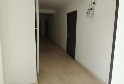 Apartament cu 3 camere în Lunca Cetățuii - 2