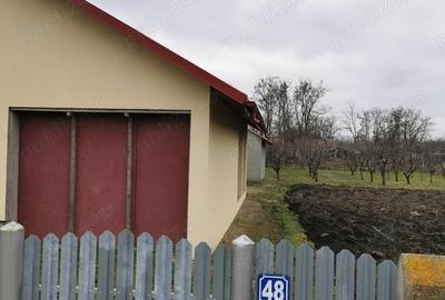 Casă cu 5 camere cu Teren 1000 Mp în Lanurile - 5