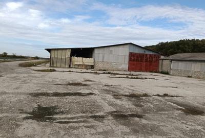 Ferma Agricolă 1.350 Hectare – Grad de Comasare 96–97%, Chișineu Criș, Județul A - 11