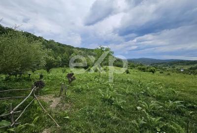 Teren în Mărgineni - 4