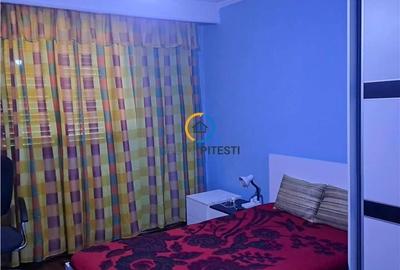 De vanzare teren + vila +anexa zona targului saptamanal, pretabila azil, gradini - 8