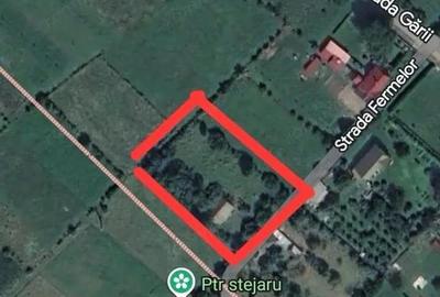 Teren Judet Neamt - 3