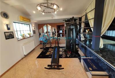 Royal Imobiliare -vanzari vile zona Ultracentral - 27