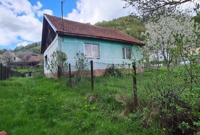 Casă cu 3 camere cu Teren 500 Mp în Rusca - 3