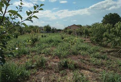 Teren intravilan de 1750 mp, în Cazasu - 2