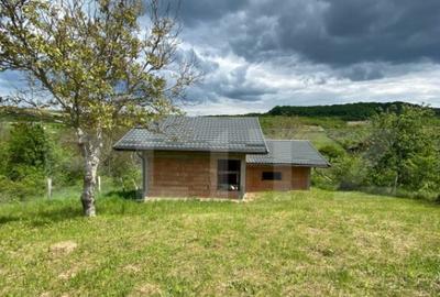 Casa la rosu, cu 3 camere, 74 mp, teren 800 mp, zona Centur - 10