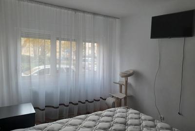 Apartament cu 2 camere decomandat în Caransebeș - 6
