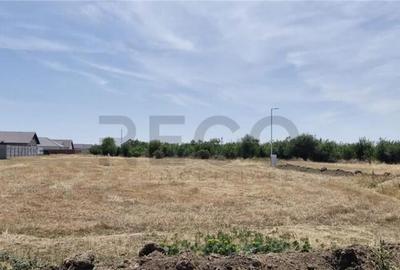 RECO Teren intravilan in Santandrei - 5