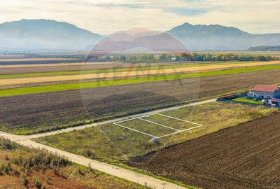 0% Comision | Teren 650 mp | Sacele, Str. Venus | Curent ... - 15