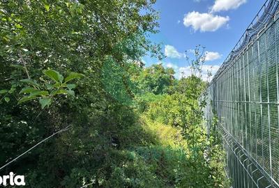 Teren de 16534 mp, în Gruiu - 5