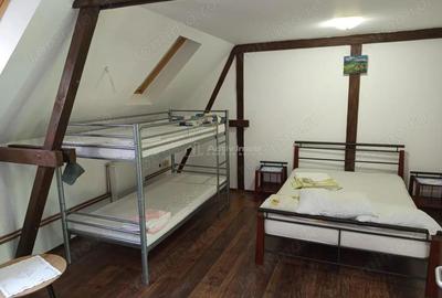 Ilidia, Afacere la Cheie, Casa de Vacanta 20 Incaperi, ZERO Comision - 13