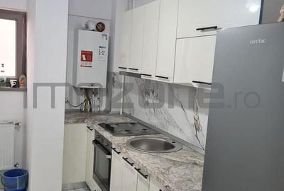 2 camere, 52 mp, etaj 2/3,  mobilat - utilat, ,Valea Oltului-Lukoil - 6