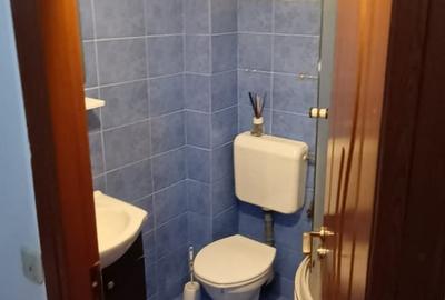 Gorjului -Militari, garsoniera in vila, centrală proprie - 6