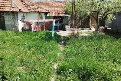 Teren Construcții intravilan de 410 mp, în Palazu Mare - 3