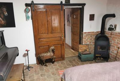 Casă cu 2 camere în Fântânele - 7