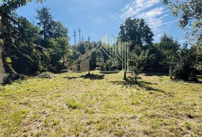 TEREN INTRAVILAN 3234 MP LERE?TI VOINE?TI ARGE? - 15