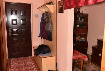 Apartament cu 3 camere decomandat în Buziaș - 3