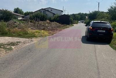 Teren Clinceni- Fortului- Ortansei. - 3