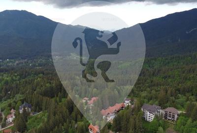 Teren in Predeal toate utilitatile, str. Nicolae Balcescu - 10