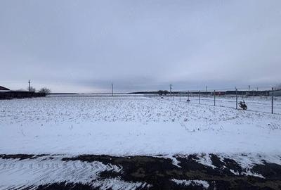 Teren de 1000 mp, în Gostilele - 5