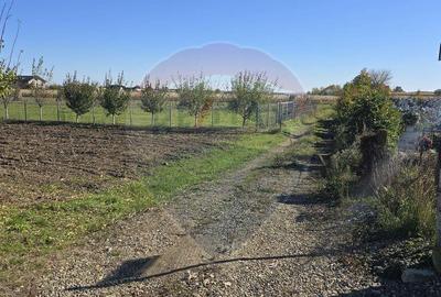 Teren de vanzare in Maneuti - 3