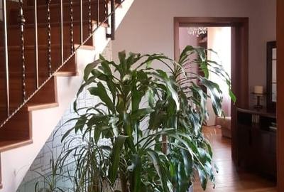 Vilă elegantă cu curte și finisaje premium – Gradina Ronda, Sector 2 Vilă elegantă cu curte și finisaje premium – Gradina Ronda, Sector 2 - 7