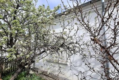 Casă cu 4 camere cu Teren 1000 Mp în Nord - 4