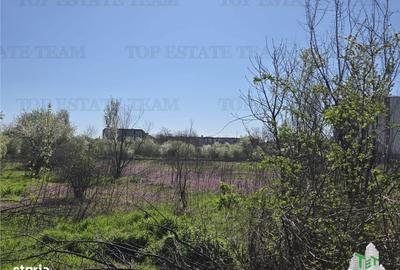 Spațiu comercial, în Păcii - 4