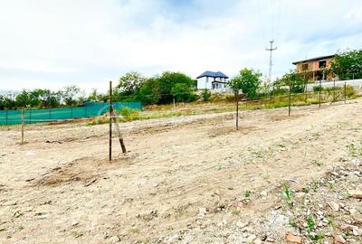 Teren Construcții intravilan de 800 mp, în Miroslava - 3