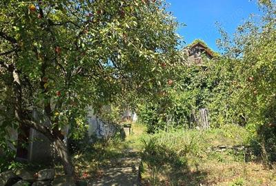 Casă cu 5 camere în Aluniș - 9