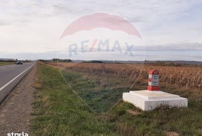 Teren de 21145 mp, în Saca - 1