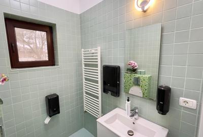 Casa individuala Mogosoaia, parter + etaj + pod, comision 0 ! - 38