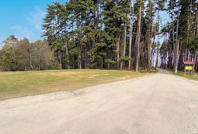 Teren de 3000 mp, în Poiana Angelescu - 3