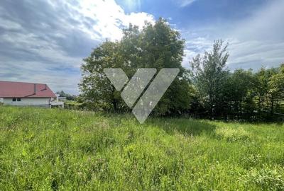 Teren Intravilan Constructii - Cisnadioara - Sibiu - 3