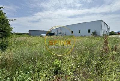 Spațiu comercial, de 622 mp, în Mogoșoaia - 3