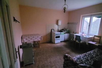 Casă în Peciu Nou - 1