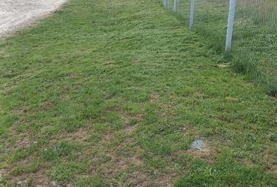 Inchiriez teren extravilan Comuna Turcine?ti, Aleea Poligonului - 1