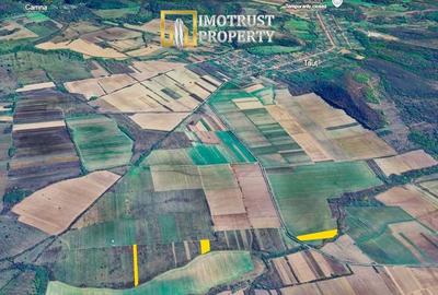 Teren agricol extravilan de 1.1799999475479 mp, în Tauț - 2