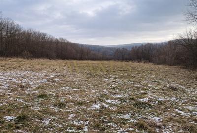 Teren Construcții intravilan de 850 mp, în Făget - 2