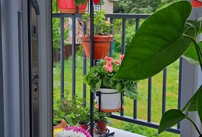 Apartament cu 3 camere semidecomandat, mobilat în Mogoșoaia - 2